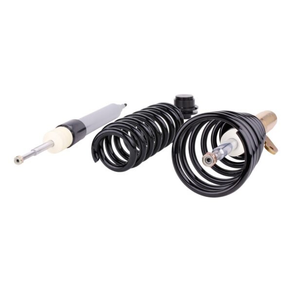 DTSLine Coilover suspension SX for BMW E81 E82 E87 E88 - Slika 2