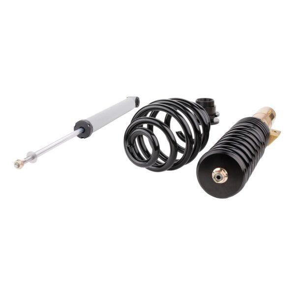 DTSLine Coilover suspension SX for BMW E46 - Slika 2
