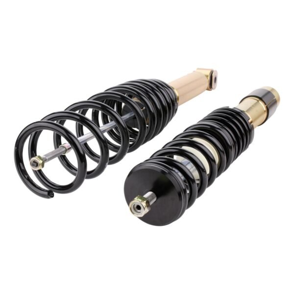 DTSLine Coilover suspension SX for BMW E39 - Slika 2