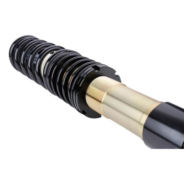 DTSLine Coilover suspension SX for BMW E39 - Slika 4