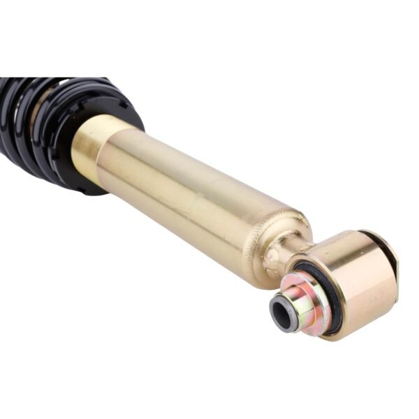 DTSLine Coilover suspension SX for BMW E39 - Slika 3