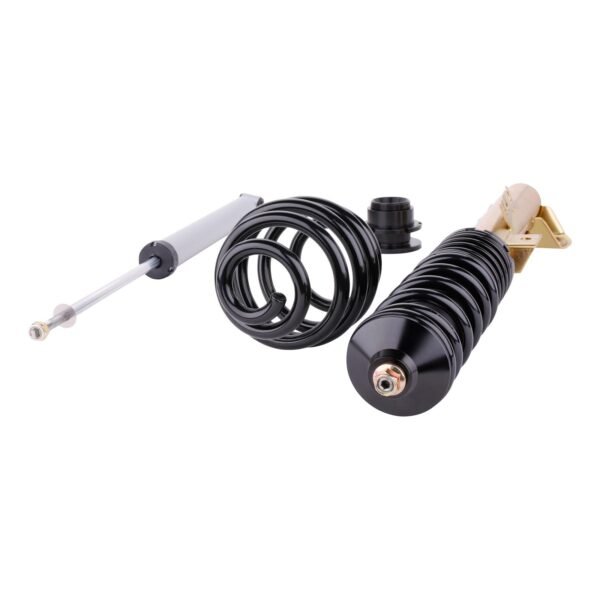 DTSLine Coilover suspension SX for BMW E36 M3 - Slika 2
