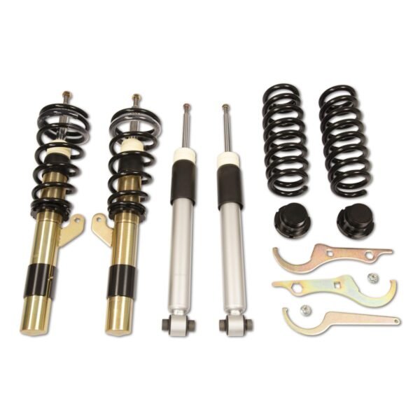 DTSLine Coilover suspension SX for BMW F20 F21 F22 F23 F30 F80 F87