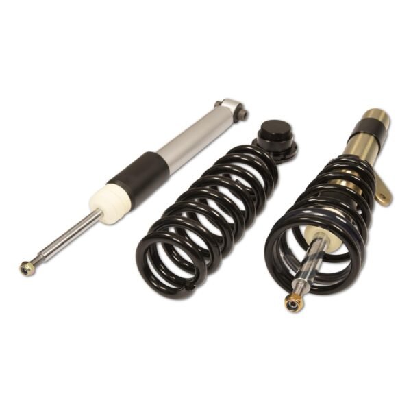 DTSLine Coilover suspension SX for BMW F20 F21 F22 F23 F30 F80 F87 - Slika 2