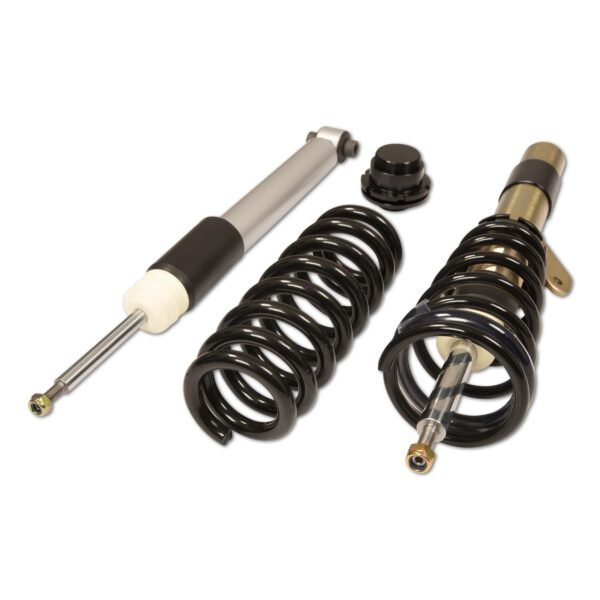 DTSLine Coilover suspension SX for BMW F31 F33 F34 F36 F83 - Slika 2
