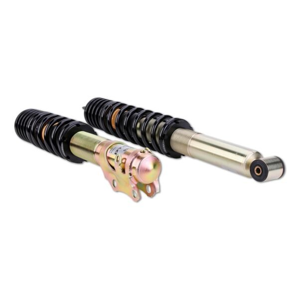 DTSLine Coilover suspension SX for BMW E39 M5
