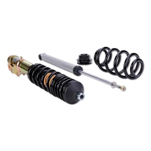 DTSLine Coilover suspension SX for BMW E39 M5 - Slika 3